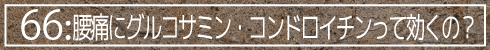 66:腰痛にグルコサミン・コンドロイチンって効くの?