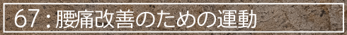 67:腰痛改善のための運動