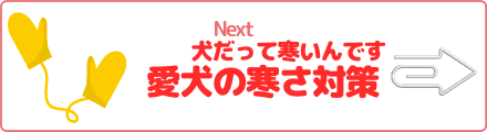 犬だって寒いんです 愛犬の寒さ対策