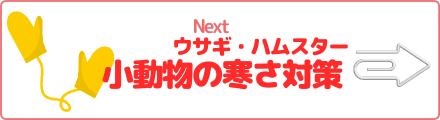 ウサギ・ハムスター 小動物の寒さ対策