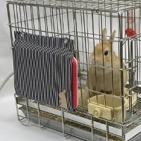 ウサギヒーター