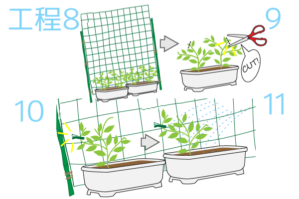 工程8、工程9、工程10、工程11