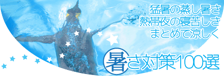 暑さ対策100選 猛暑の蒸し暑さ 熱帯夜の寝苦しさ まとめて涼しく