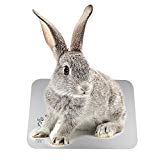 ウサギひんやりマット アルミボード300×200mm