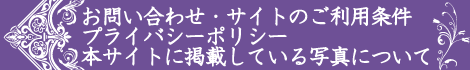 お問い合わせ・サイトのご利用条件・プライバシーポリシー・本サイトに掲載している写真について