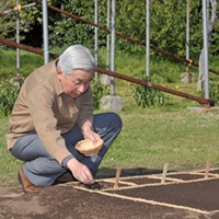 陛下によるお手まき
