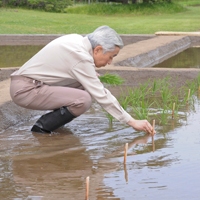 苗をお手植えになる陛下